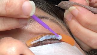 Elleebana Lash Lift amp Tint Tutorial Video [upl. by Konopka223]