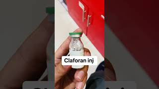 Claforan injection  Dose and sideffects  uses of claforan antibiotic  cefotaxime antibiotic [upl. by Abbye]