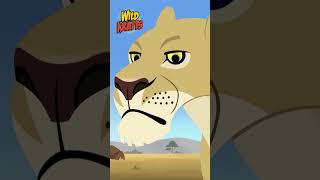 Activate Lion Power  The Top of the Food Web  Wild Kratts [upl. by Fleda172]