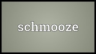 Schmooze Meaning [upl. by Navinod]