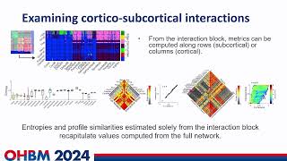 OHBM 2024  Symposium  Evgeny Chumin  Investigating corticosubcortical interactions in functio… [upl. by Thevenot607]