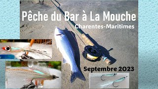 Pêche du bar à la mouche sur la plage  Surf Fly fishing sea bass [upl. by Akinat]