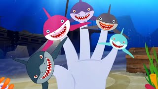 Shark Finger Family  More Nursery Rhymes And Animal Cartoon Video [upl. by Pablo]