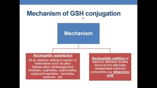 CONJUGATION WITH GLUTATHIONE amp MERCAPTURIC ACID FORMATION [upl. by Skipton]