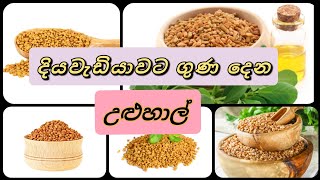 uluhal gunaදියවැඩියාවට ගුණ දෙන උළුහාල් [upl. by Aniez]