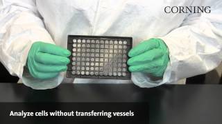 Corning® Spheroid Microplates  Assay and analyze 3D spheroids in the same microplate [upl. by Boyce135]