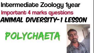 Intermediate 1year Zoology Important questions Animal diversity1 Lesson Polychaeta [upl. by Aleirbag]