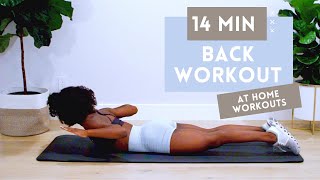 14 MINUTE BACK WORKOUT FOR STRONGER BACK  BETTER POSTURE  NO EQUIPMENT  BEGINNER  INTERMEDIATE [upl. by Yeca442]