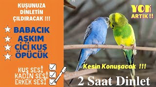 Konuşturan Muhabbet Kuşu Sesi 2021‐ 2 SAAT Aralıksız Dinlet Kuşun Konuşsun [upl. by Jori]