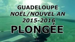 Plongée 4K  Guadeloupe  NoëlNouvel an 20152016 [upl. by Bruckner]