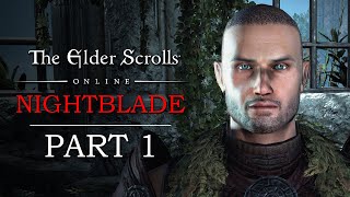 Elder Scrolls Online Playthrough  Breton Nightblade  Part 1 The Gates of Adamant [upl. by Nyrtak]