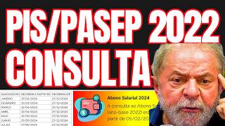 CONSULTA PISPASEP 2022 NO CALENDÁRIO 2024  AS FORMAS DE VER SE TEM DIREITO AO SAQUE ABONO SALARIAL [upl. by Seni]