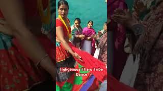 Indigenous Tharu Tribe Dance in Terai Nepal [upl. by Anevad683]