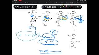 Prodrug part4Bppi [upl. by Cordeelia909]