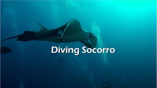 Diving Socorro Islands  Dec 2021 [upl. by Sirotek]