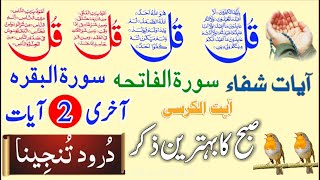 🔴LIVE Mourning Wazifa  4 Qul  Ayatul Kursi  Surah Baqarah  durood Tanjeena  أذکار الصباح [upl. by Port]