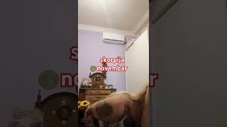 skorpija novembar tarot taro ljubav tarotreading tarotreader horoskop skorpion [upl. by Victory930]