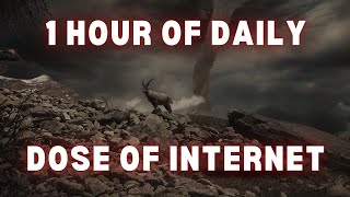 1 Hour of Daily Dose Of Internet [upl. by Cindy]