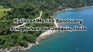 Kuliatan Marine Sanctuary San Joaquin Iloilo [upl. by Adnaloj]