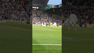 Georginio Rutter goal Vs Norwich angle from the crowd leedsunited [upl. by Say]