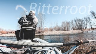 Epic Montana Trout Rivers  Fly Fishing THE BITTERROOT river [upl. by Atinuahs]