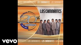 Los Caminantes  El Puente Roto Audio [upl. by Vastah474]