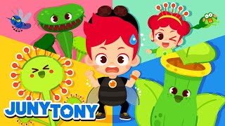 Why Do They Eat Bugs  More Bug Songs  Insect Songs for Kids  Animal Song  JunyTony [upl. by Milewski]