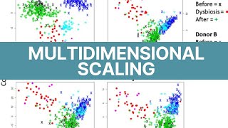 Nonmetric Multidimensional Scaling NMDS  3D [upl. by Rora]