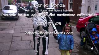 Denise Bones anatomically correct properly dead skeleton puppet [upl. by Iormina807]