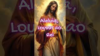 Aleluia Louvor ao Rei REMIX TECNO MELODY by Dj Manoel Mix [upl. by Smeaj729]