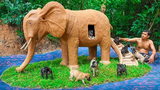 Rescue Dogs and Build Elephant Dog House for Puppies [upl. by Nikaniki]