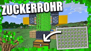 Minecraft BESTE automatische Zuckerrohrfarm Tutorial  Deutsch [upl. by Anale]