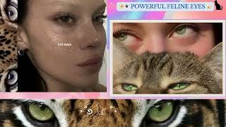 🎧✨ 𓂀 Powerful Feline Eyes 𓃠 ✨💫Listen as many times as you want with or without headphones [upl. by Grannie140]