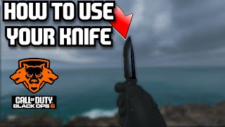 How to USE YOUR MELEE WEAPON in BLACK OPS 6 [upl. by Arym]