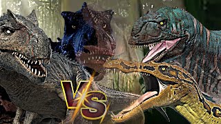 Allosaurus Vs Suchomimus Vs Tarbosaurus Vs Majungasaurus free for all [upl. by York]