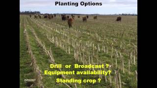 Grazing Cover Crops and Benefits for Livestock Operations  Mike Buis [upl. by Gerianne674]