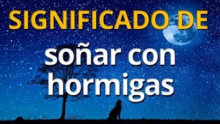 Qué significa soñar con hormigas 💤 Interpretación de los Sueños [upl. by Robenia]