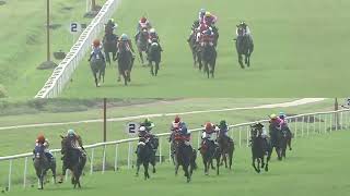 THE GREY GERANIUM with A R Pradeep up wins The Royal Calcutta Turf Club Trophy Div2 2024 RACE 97 [upl. by Neuburger]