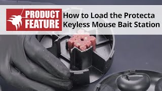 How to Load the Protecta Keyless Mouse Bait Station  DoMyOwncom [upl. by Judith]