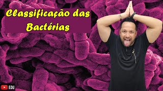 Classificação das Bactérias  Quanto a Forma e a Agregação  Microbiologia  Reino Bacteria [upl. by Terraj]