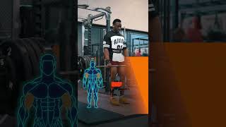 Master the Barbell Deadlift Full Body Power Move for Strength [upl. by Prissy]