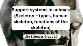 Support systems in animals Skeleton – types human skeleton functions of the skeleton [upl. by Bethany]