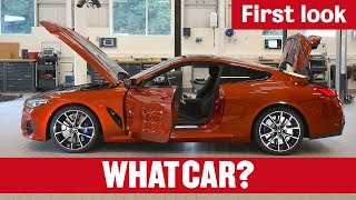 2019 BMW 8 Series First Look  What Car [upl. by Ignatz]