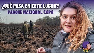 ARMAS y actividad ILEGAL en el ÚNICO Parque Nacional de Sgo del Estero  PN COPO [upl. by Essyla]