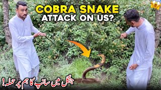 Explore Jungle Vibe 😍 Cobra Attack On Us  😱 Family Vlog [upl. by Noonan]