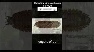 Giant Prehistoric Creepy Crawlies Meganeura and Arthropleura [upl. by Dunning772]