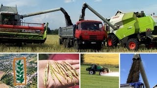 MONSANTO SLOVAKIA  Agropodnik SLAMOZ  reportáž [upl. by Anhavas]