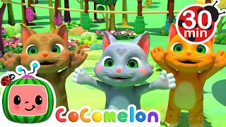 Three Little Kittens and More  CoComelon Animals  Animals for Kids [upl. by Anneirda]