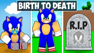 BIRTH to DEATH Of Sonic Roblox Brookhaven [upl. by Sheepshanks642]