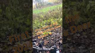 First Hunt of 2024 indiana indianadeerhunting 317whitetails deer [upl. by Anaili999]